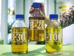 Harga BBM Biodiesel April Mendatang Rp15.559 per Liter