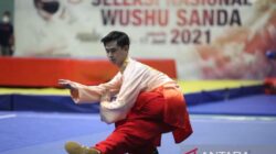 Wushu