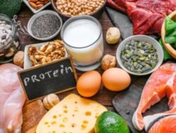 Kelebihan Protein Berisiko Rusak Organ Vital