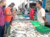 Harga Ikan dan Udang Segar Turun di Bintan Timur