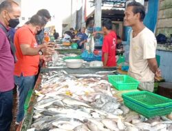Harga Ikan dan Udang Segar Turun di Bintan Timur