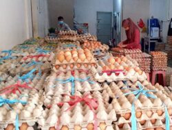 Jelang Lebaran, Permintaan Telur Ayam di Tanjungpinang Meningkat 50 Persen