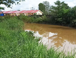 Warga Kenangan Jaya III Khawatir dengan Kemunculan Buaya Besar di Sungai Toca