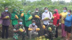 Danrem 033/WP Minta Babinsa Ajak Masyarakat Kepri Budidaya Tanaman Hortikultura