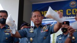 TNI AL Gagalkan Penyelundupan Benih Lobster Senilai Rp46,7 Miliar