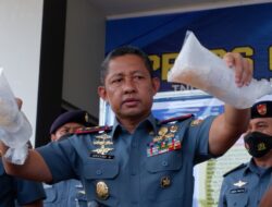 TNI AL Gagalkan Penyelundupan Benih Lobster Senilai Rp46,7 Miliar