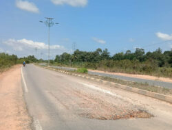 Jalan Lintas Timur di Bintan Berlubang, Beberapa Pengendara Alami Lakalantas