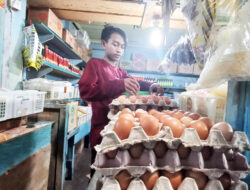 Harga Telur di Natuna Naik Lagi, Rp55 Ribu per Papannya
