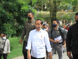 Ini Kata Presiden Jokowi saat Ditanya Soal Kerja Gibran Pimpin Surakarta