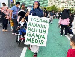 DPR RI akan Kaji Legalisasi Ganja untuk Medis di Indonesia
