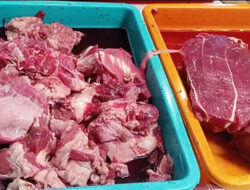 Bulog Tanjungpinang Sediakan 5,6 Ton Daging Kerbau Beku untuk Idul Adha