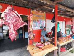 Stok Sapi Kurban di Natuna Kini Mulai Langka