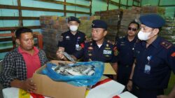 KKP Segel 4,748 Ton Ikan Impor Ilegal Tiongkok dan Malaysia di Batam