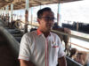 Kepri Dapat Pasokan 3.000 Ekor Sapi Kurban dari Lampung Tengah