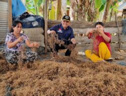 DKP Kepri Dorong Investor Kembangkan Budidaya Rumput Laut