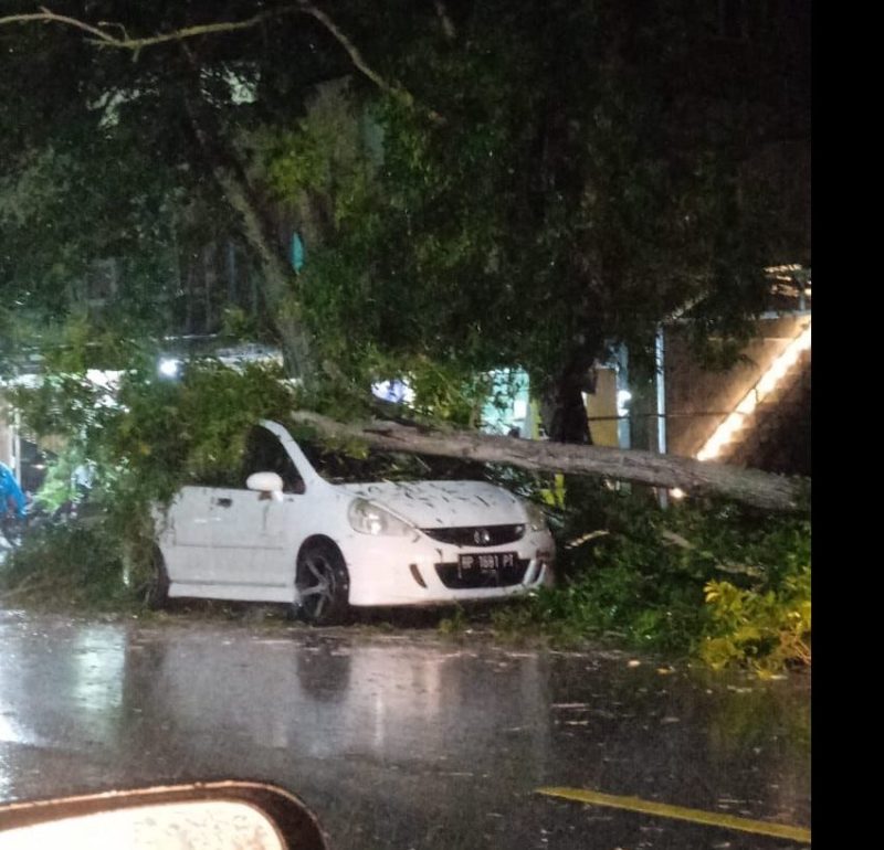 Honda Jazz Ditimpa Pohon saat Parkir di Tanjungpinang