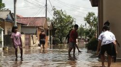 Waspada! BMKG Keluarkan Peringatan Banjir Rob Sejumlah Daerah di Kepri