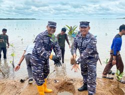 Danyonmarhanlan IV Ikuti Penanaman 4.500 Batang Bibit Mangrove Serentak