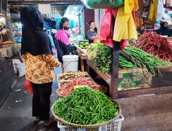 Harga Sayur Mayur di Tanjungpinang Merangkak Naik Jelang Iduladha