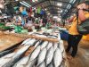 Kondisi Cuaca Membaik, Harga Ikan di Pasar Tanjungpinang Kembali Normal