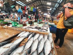 Kondisi Cuaca Membaik, Harga Ikan di Pasar Tanjungpinang Kembali Normal
