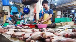 Pedagang Ikan di Pasar Baru Tanjungpinang