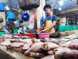 Harga Ikan di Pasar Tradisional Tanjungpinang Terpantau Normal