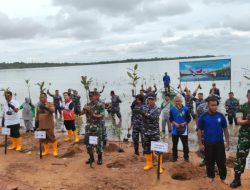 Lantamal IV Tanjungpinang Tanam Mangrove di Dompak