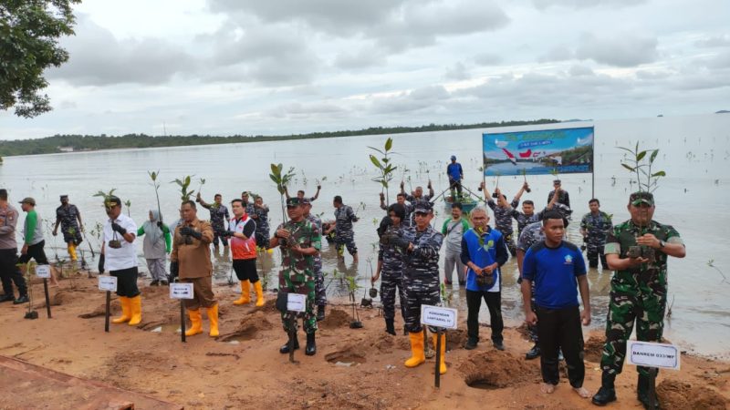 Lantamal IV Tanjungpinang Tanam Mangrove di Dompak