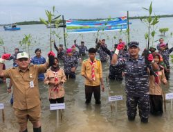 Lanal Ranai Tanam 5.000 Bibit Mangrove di Pering Natuna