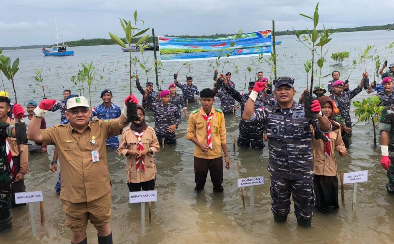 Lanal Ranai Tanam 5.000 Bibit Mangrove di Pering Natuna