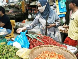 Harga Cabai di Sejumlah Pasar Tradisional Tanjungpinang Sudah Turun