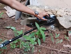Damkar Bintan Timur Gagal Mengevakuasi Ular Kobra yang Sembunyi di Rumah Warga