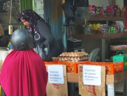 Harga Telur Nasional Naik, di Pasar Tanjungpinang Justru Turun