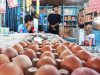 Telur Ayam di Natuna Naik Lagi, 30 Butir Kini Rp58 Ribu