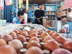 Telur Ayam di Natuna Naik Lagi, 30 Butir Kini Rp58 Ribu