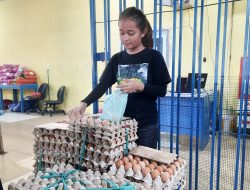 Harga Telur Ayam di Batam Naik, Rp60 Ribu Per Papan