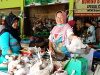 Harga Ayam Potong di Pasar Barek Kijang Naik Rp40 ribu per Kilogram