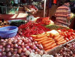 Harga Cabai Merah dan Rawit di Pasar Tanjungpinang Turun