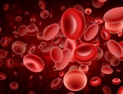 Er, Golongan Darah Baru dengan Lima Antigen