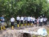 PLN Batam Tanam 5.000 Bibit Mangrove di Tanjung Piayu
