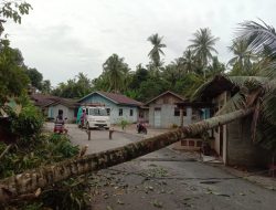 Rumah Warga Karimun Ambruk Ditimpa Pohon Kelapa