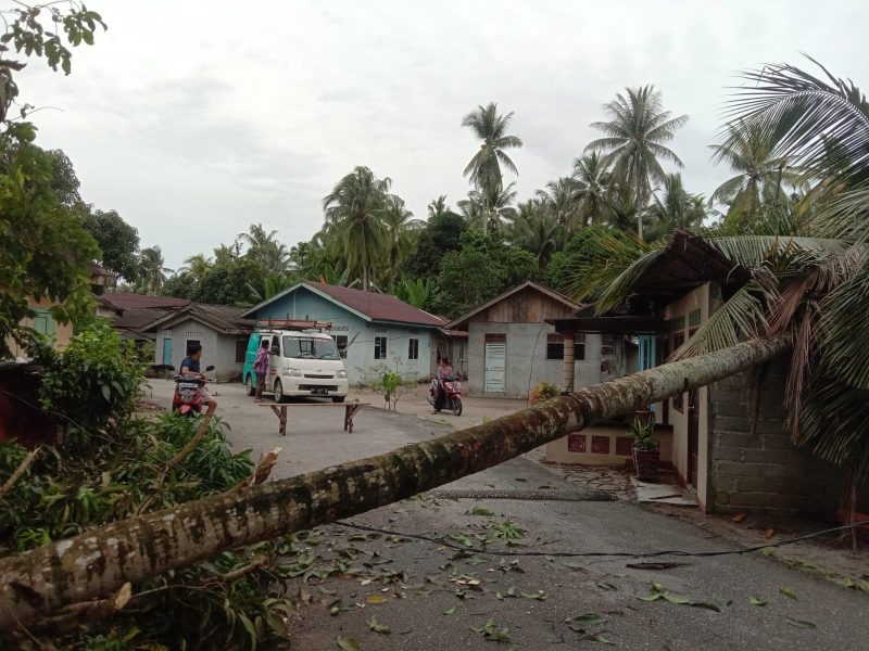 Rumah Warga Karimun Ambruk Ditimpa Pohon Kelapa