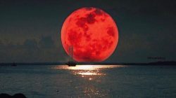 Gerhana bulan total kemerahan atau blood moon. (Foto: Istimewa)