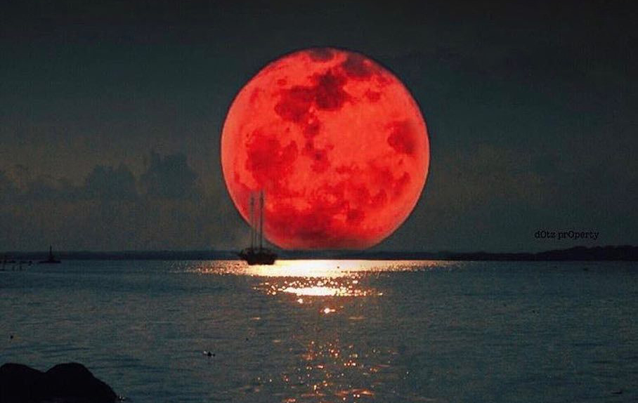 Gerhana bulan total kemerahan atau blood moon. (Foto: Istimewa)