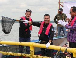 DKP Kepri Panen 10,8 Ton Ikan Bawal Bintang di Bintan 