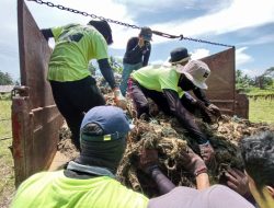 SCSI Klaim Temukan 700 Kg Sampah Per Hari di Pantai Bintan