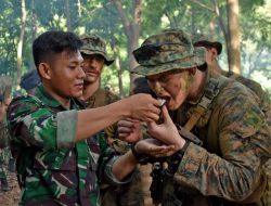 Prajurit Marinir TNI AL dan US Marine Berlatih Jungle Survival