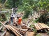 Warga Pergoki Aktivitas Penebangan Liar di Hutan Lindung Gunung Lengkuas