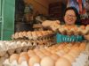 Peternak Lokal Penuhi Kebutuhan Telur dan Daging Ayam di Karimun 